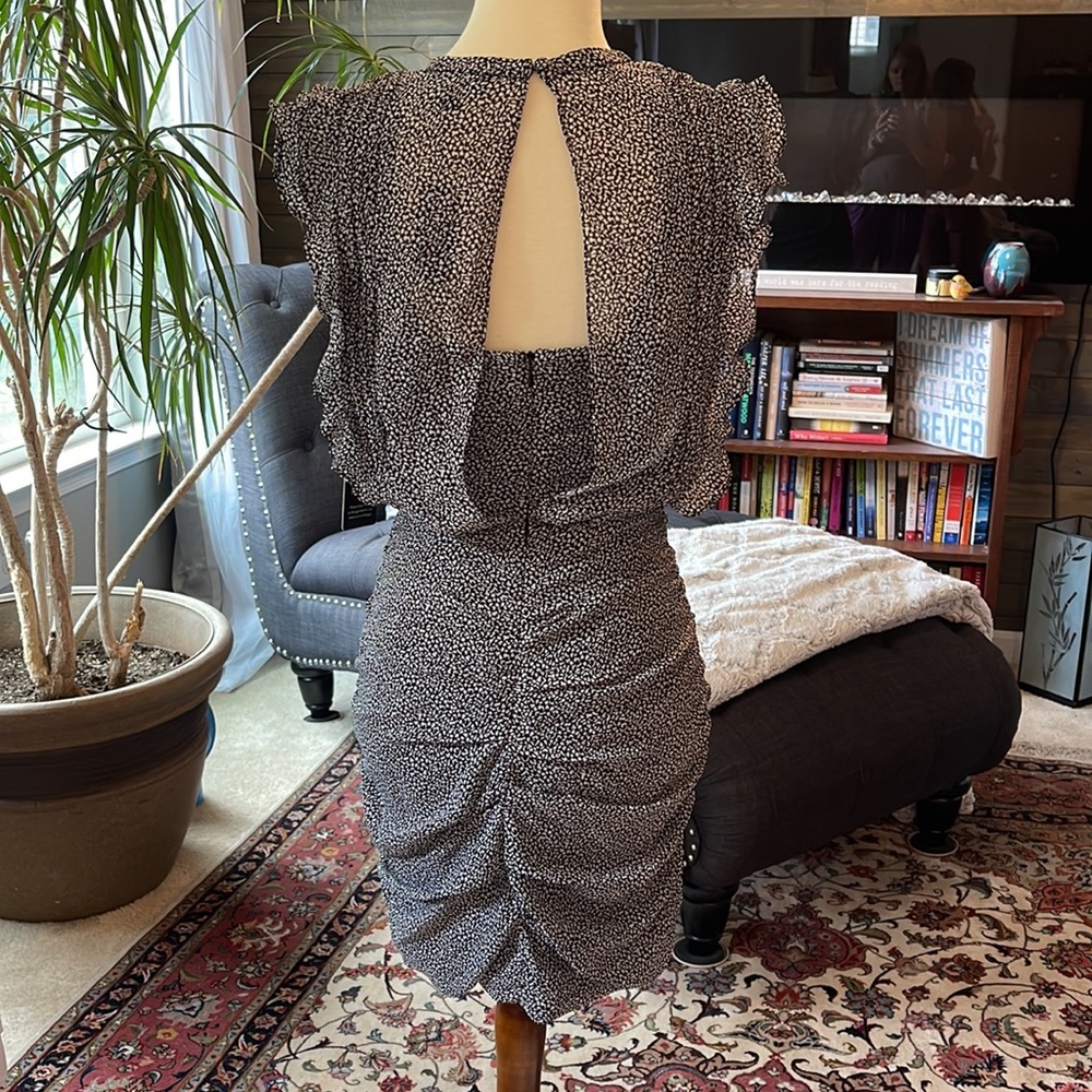 Express Ruffled Dress - Picture 4 of 8